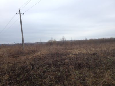 Купить торф Икша